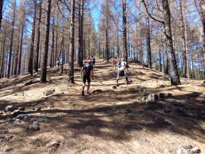 En busca de Garañón. Sube, y sube...