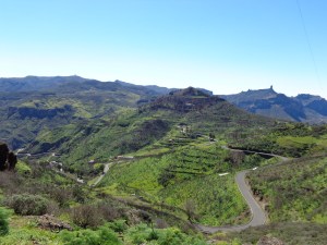 En busca del Roque Nublo que por ahí asoma