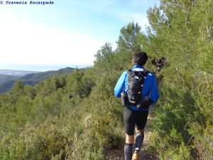 Caminos entre maleza y subiendo