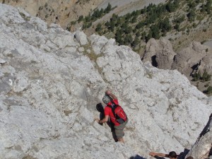 Como una salamandra se aferra a la roca