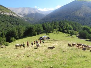 Collado de Cullivert. 24 km de carrera