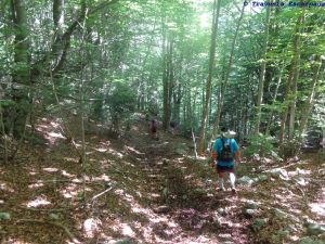 Empezamos a descender entre hayedos