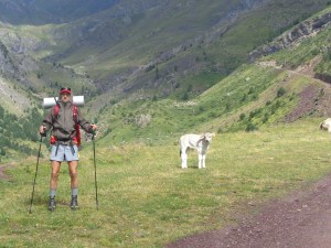 Las vacas están bajando !!! Y cuando éstas bajan... Mala pinta...