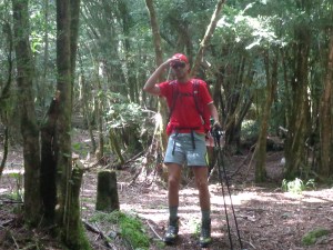 Sin Comentarios..... La Víiiiirgen....