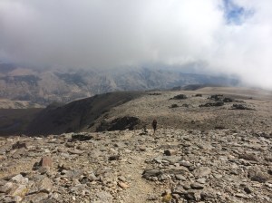 Piano piano se va haciendo camino