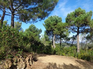 Bonita Fita 31 en las Alturas !!! 