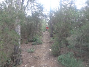 Trialeras arriba y arriba