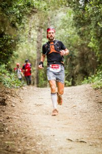 U.T - Collserola 2014